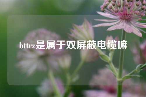 bttrz是属于双屏蔽电缆嘛