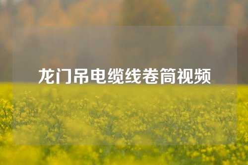 龙门吊电缆线卷筒视频