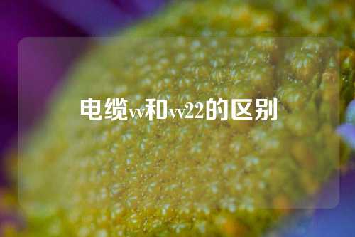 电缆vv和vv22的区别