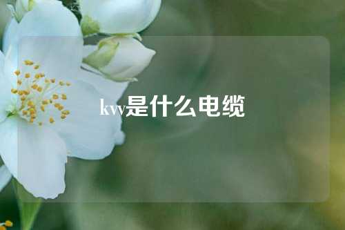 kvv是什么电缆