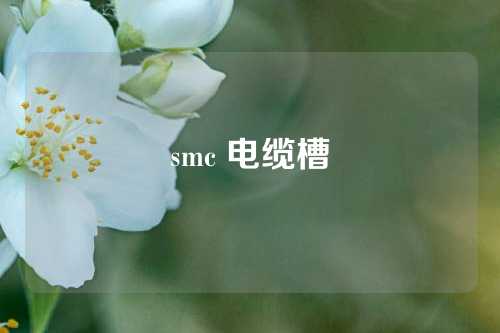 smc 电缆槽