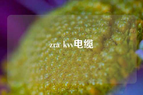 zra kvv电缆