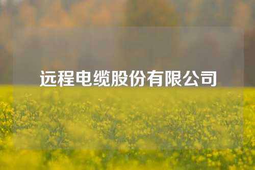 远程电缆股份有限公司