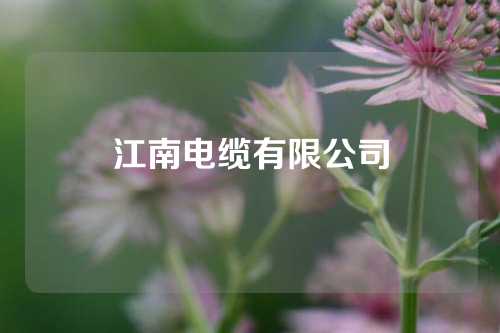 江南电缆有限公司