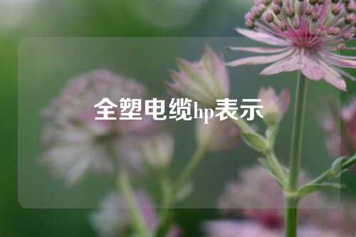 全塑电缆hp表示