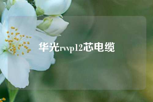 华光rvvp12芯电缆