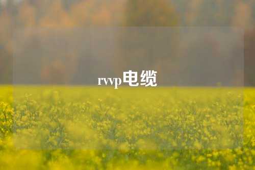 rvvp电缆