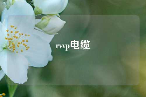 rvvp电缆