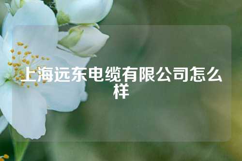 上海远东电缆有限公司怎么样