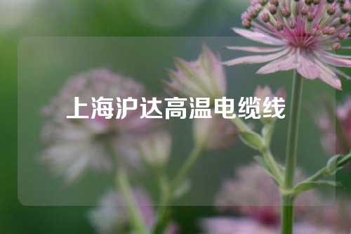 上海沪达高温电缆线