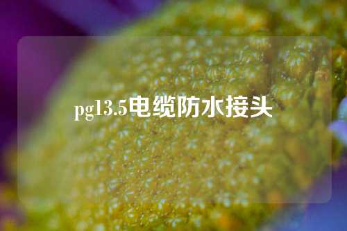 pg13.5电缆防水接头