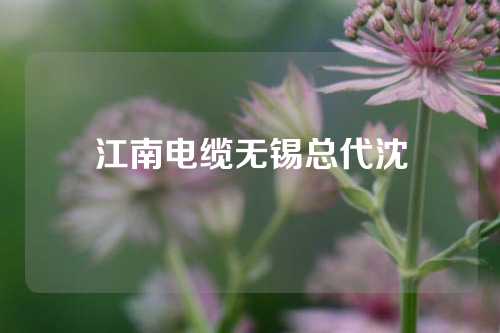 江南电缆无锡总代沈