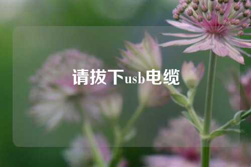 请拔下usb电缆