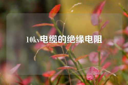 10kv电缆的绝缘电阻