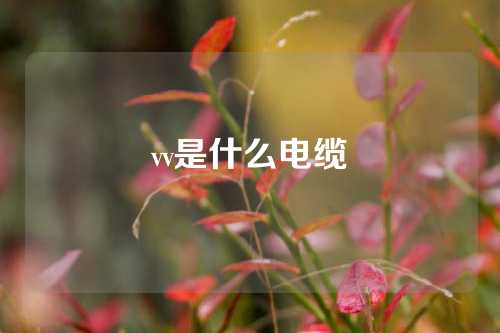 vv是什么电缆