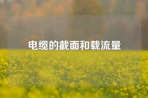 电缆的截面和载流量