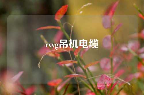 rvvg吊机电缆