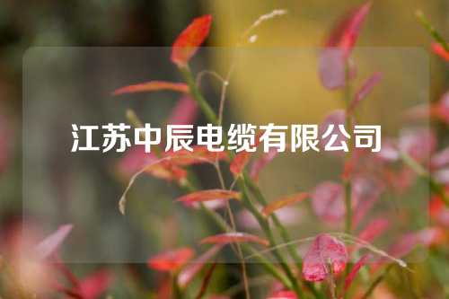 江苏中辰电缆有限公司