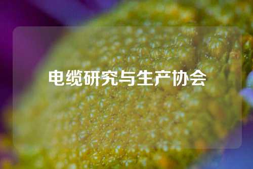 电缆研究与生产协会