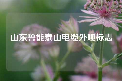 山东鲁能泰山电缆外观标志