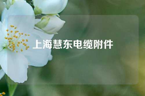 上海慧东电缆附件