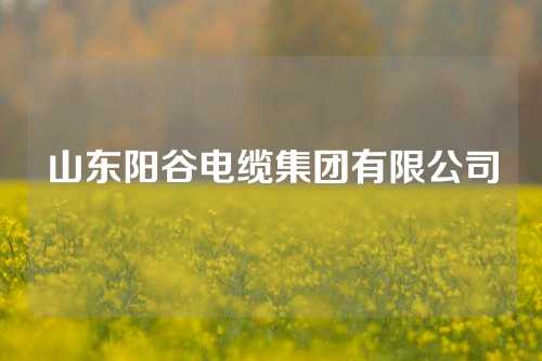 山东阳谷电缆集团有限公司