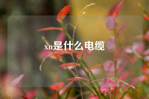 xn是什么电缆