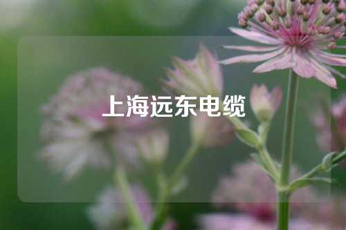 上海远东电缆