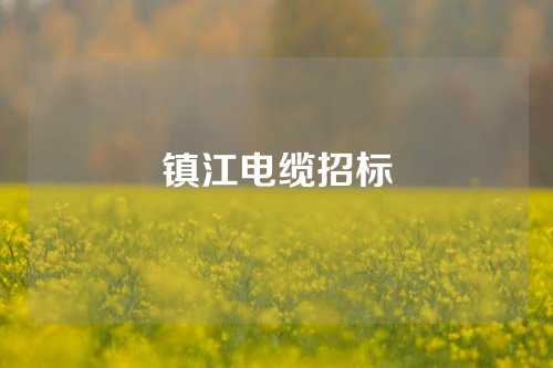 镇江电缆招标