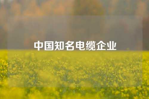 中国知名电缆企业