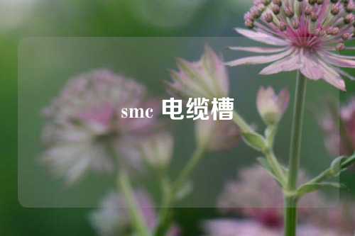 smc 电缆槽