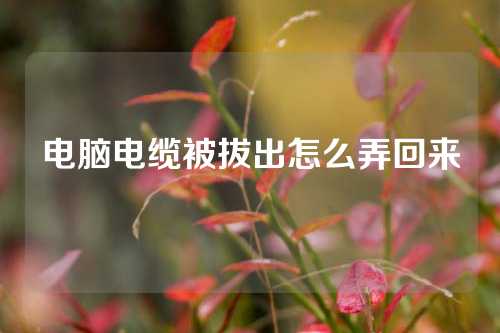 电脑电缆被拔出怎么弄回来