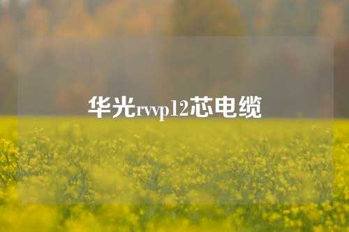 华光rvvp12芯电缆