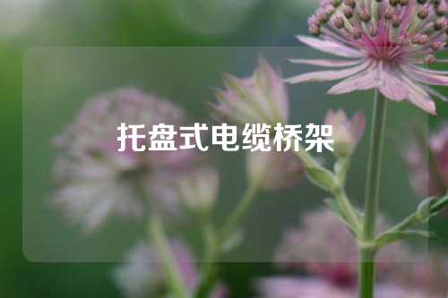 托盘式电缆桥架