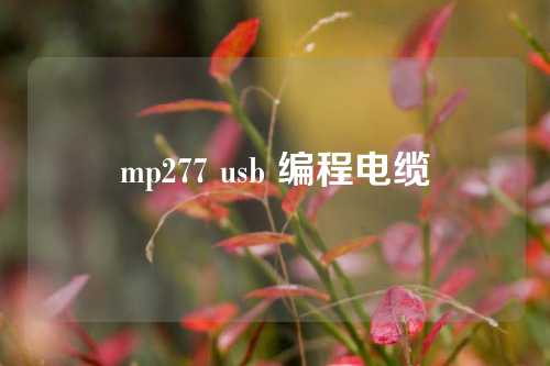 mp277 usb 编程电缆