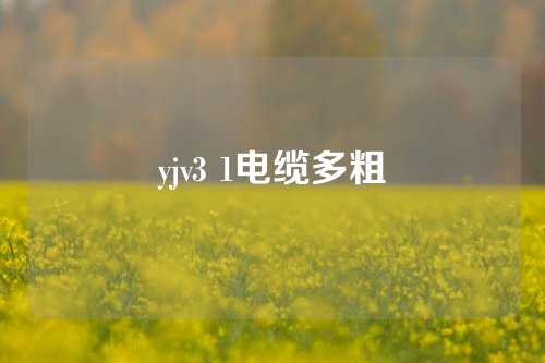 yjv3 1电缆多粗