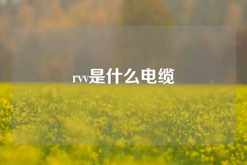 rvv是什么电缆