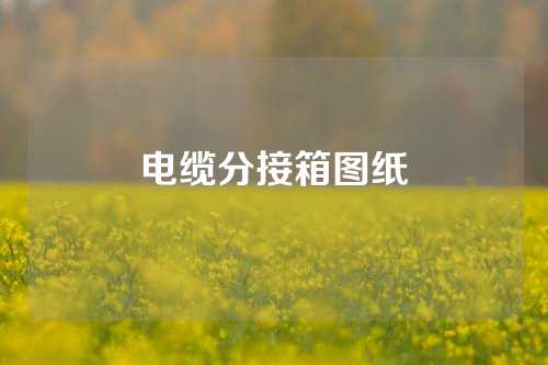 电缆分接箱图纸