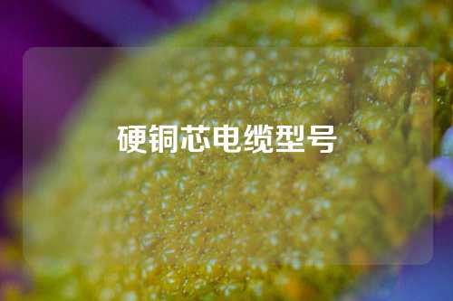 硬铜芯电缆型号