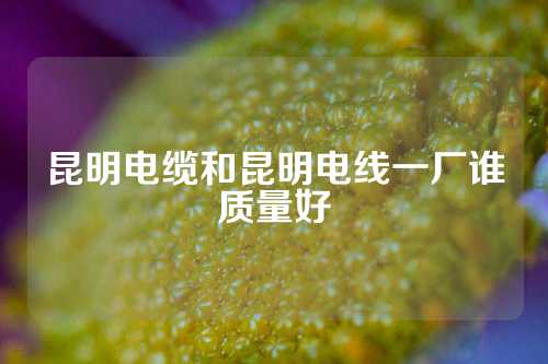 昆明电缆和昆明电线一厂谁质量好