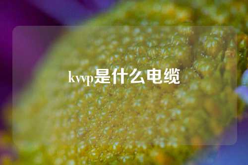 kvvp是什么电缆