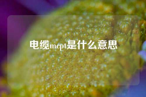 电缆mcpt是什么意思