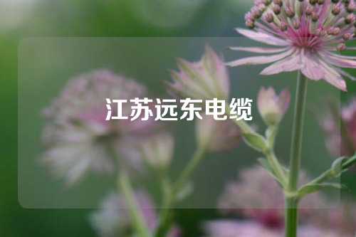 江苏远东电缆