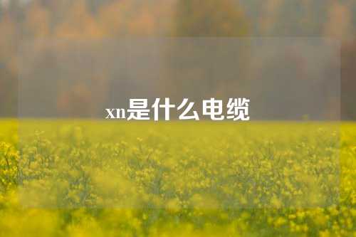 xn是什么电缆