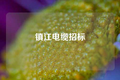 镇江电缆招标