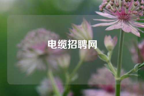 电缆招聘网