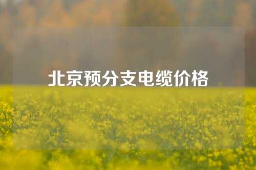 北京预分支电缆价格