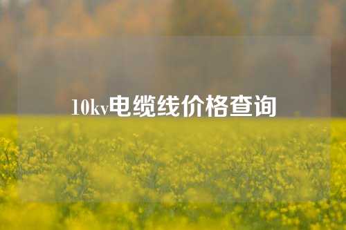 10kv电缆线价格查询