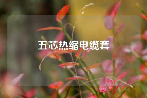 五芯热缩电缆套