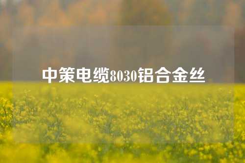 中策电缆8030铝合金丝